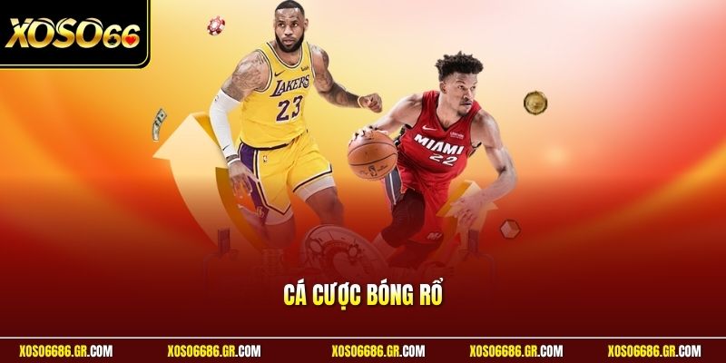 cá cược bóng rổ