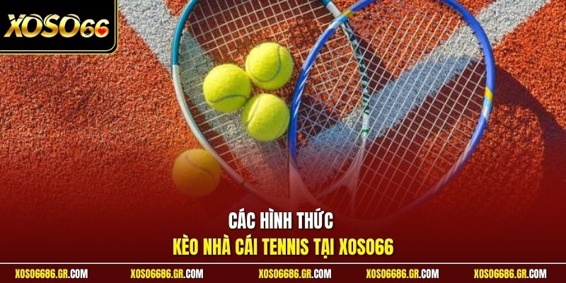 Các hình thức kèo nhà cái tennis tại XOSO66