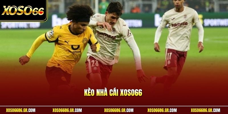 kèo nhà cái XOSO66