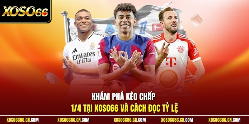 Khám phá kèo chấp 1/4 tại XOSO66 và cách đọc tỷ lệ