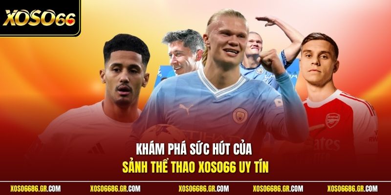 Khám phá sức hút của sảnh thể thao XOSO66 uy tín