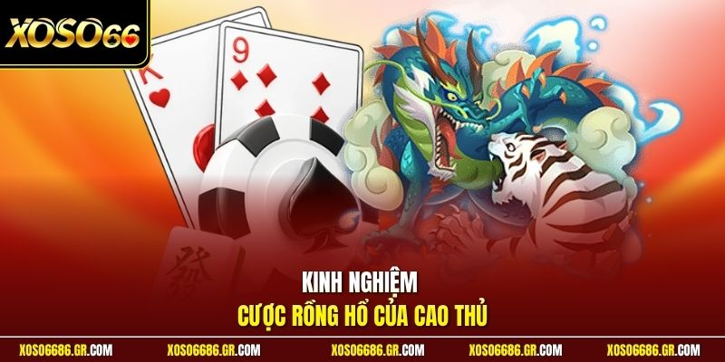 Kinh nghiệm cược rồng hổ của cao thủ