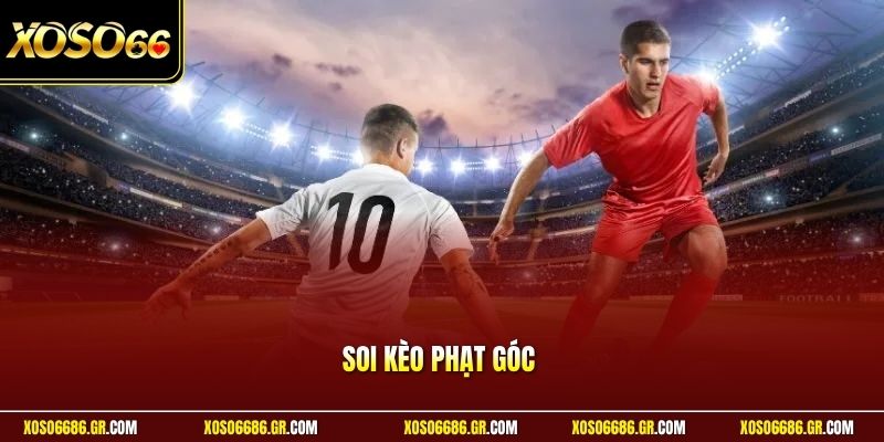 soi kèo phạt góc
