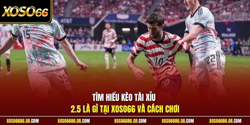 Tìm hiểu kèo tài xỉu 2.5 là gì tại XOSO66 và cách chơi