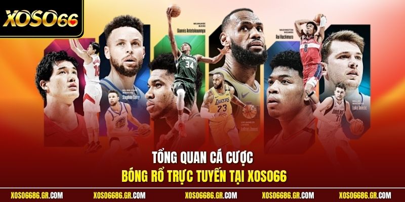 Tổng quan cá cược bóng rổ trực tuyến tại XOSO66