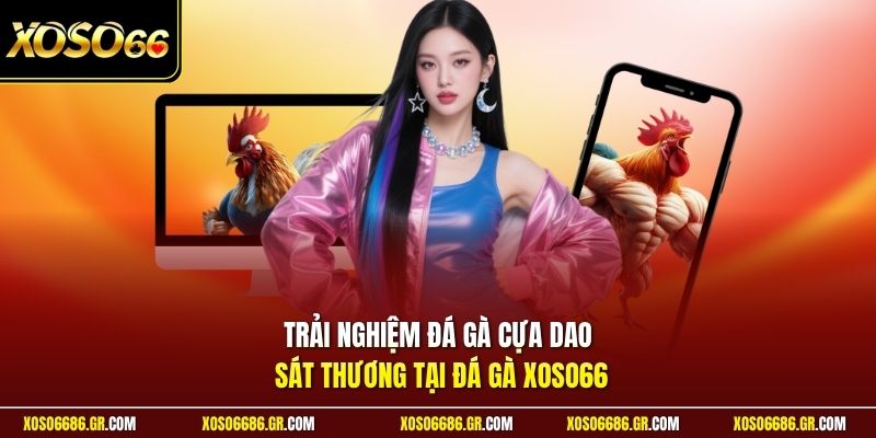 Trải nghiệm đá gà cựa dao sát thương tại đá gà XOSO66
