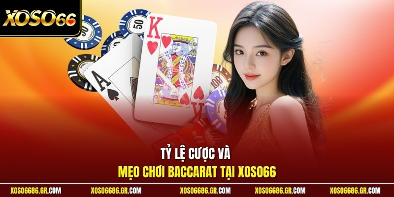 Tỷ lệ cược và mẹo chơi baccarat tại XOSO66